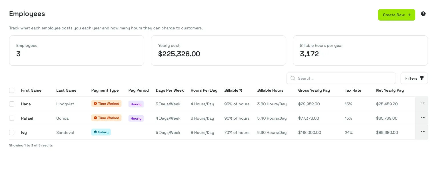 The employees screen of a software studio, tracking each developer’s cost and billable hours per year
